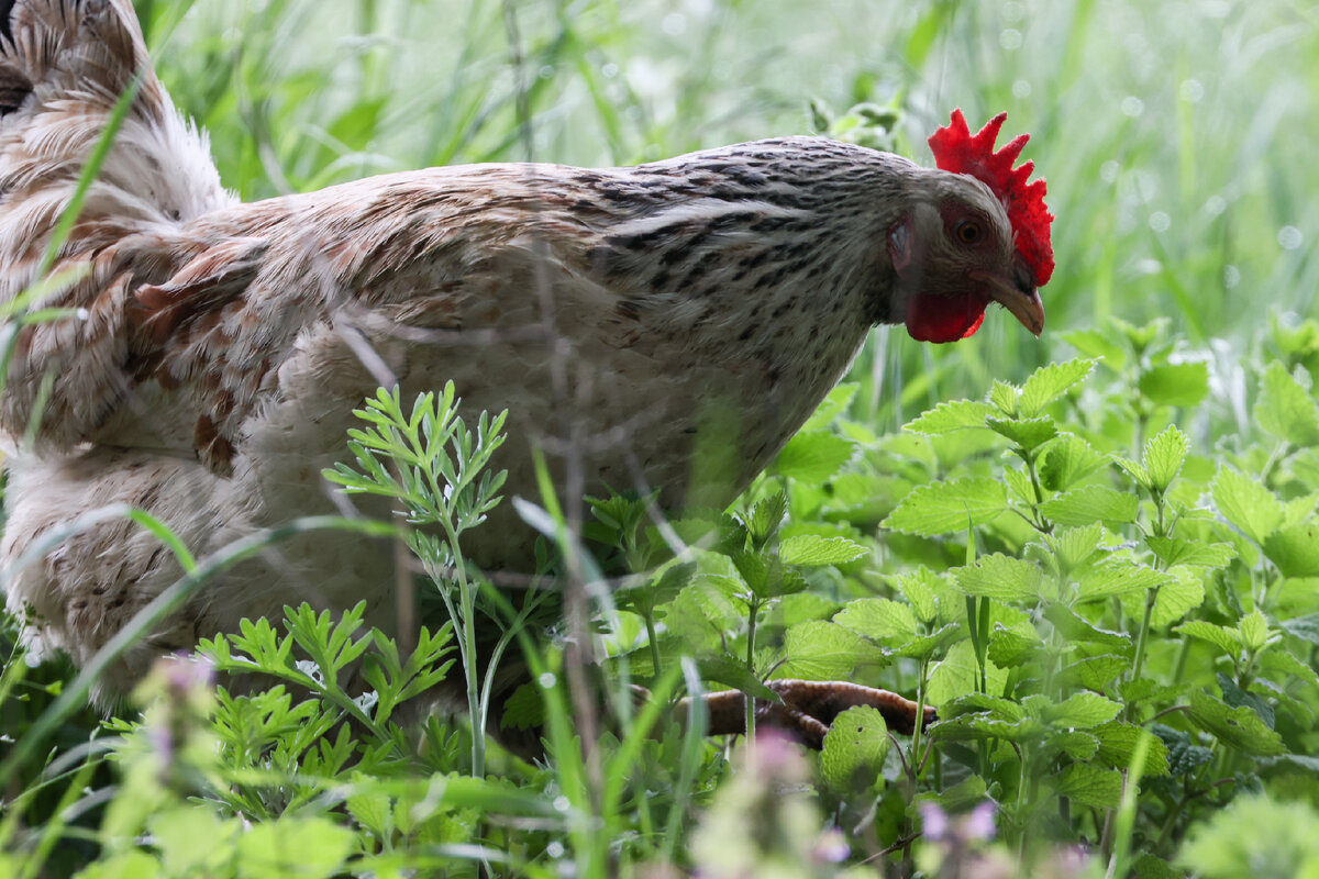 © Сергей Мальгавко/ТАСС