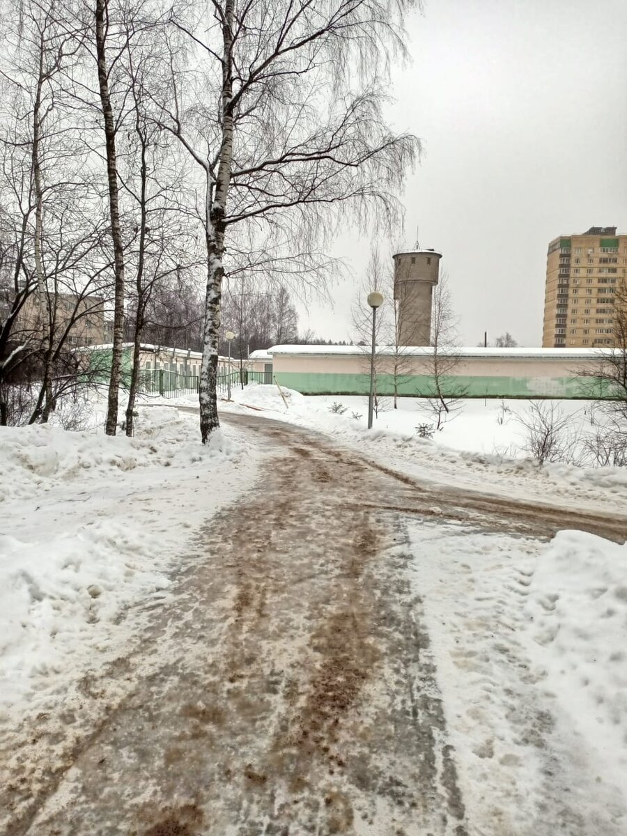 Фото поселок Зеленоградский. 