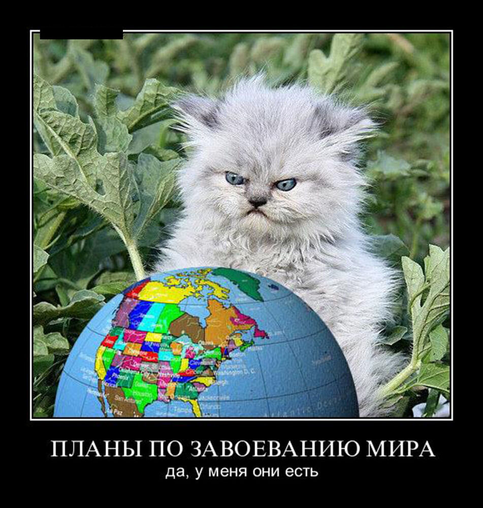 источник Яндекс-картинки