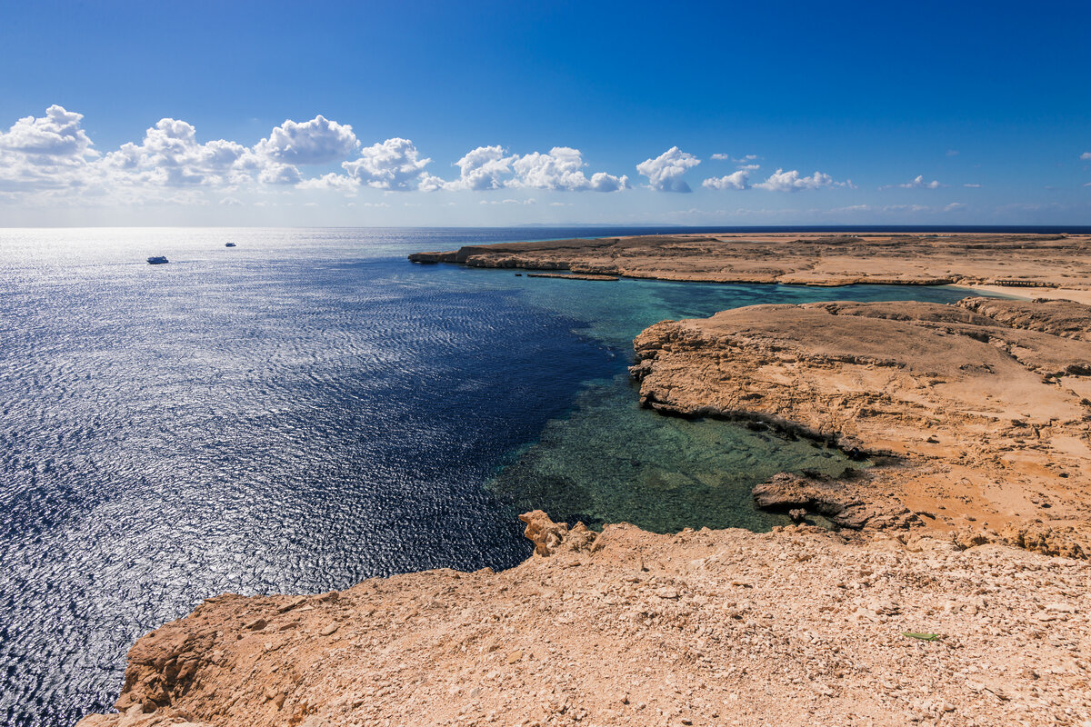 Фото: shutterstock