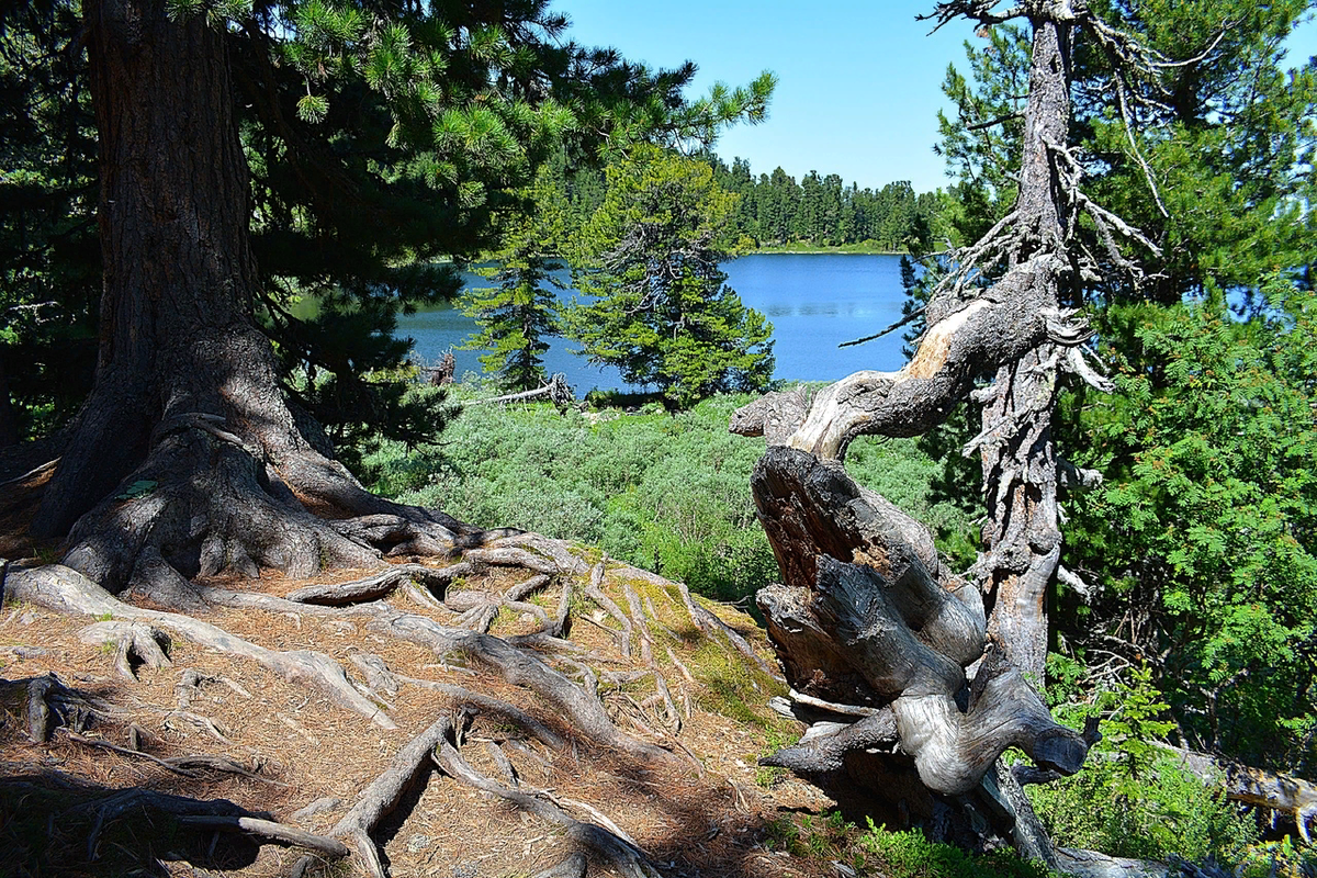 Подъём  от Пятого  Каракольского  озера. Фото 2022 г.