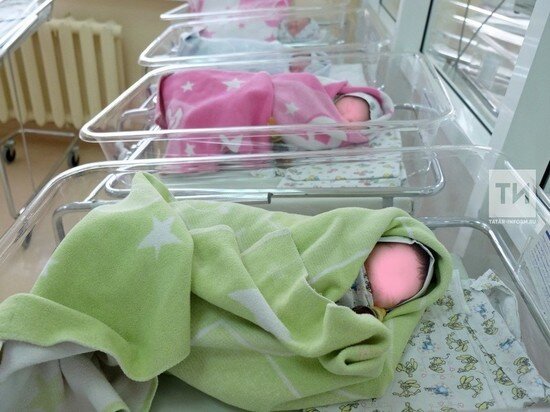     Фото: ИА "Татар-информ"