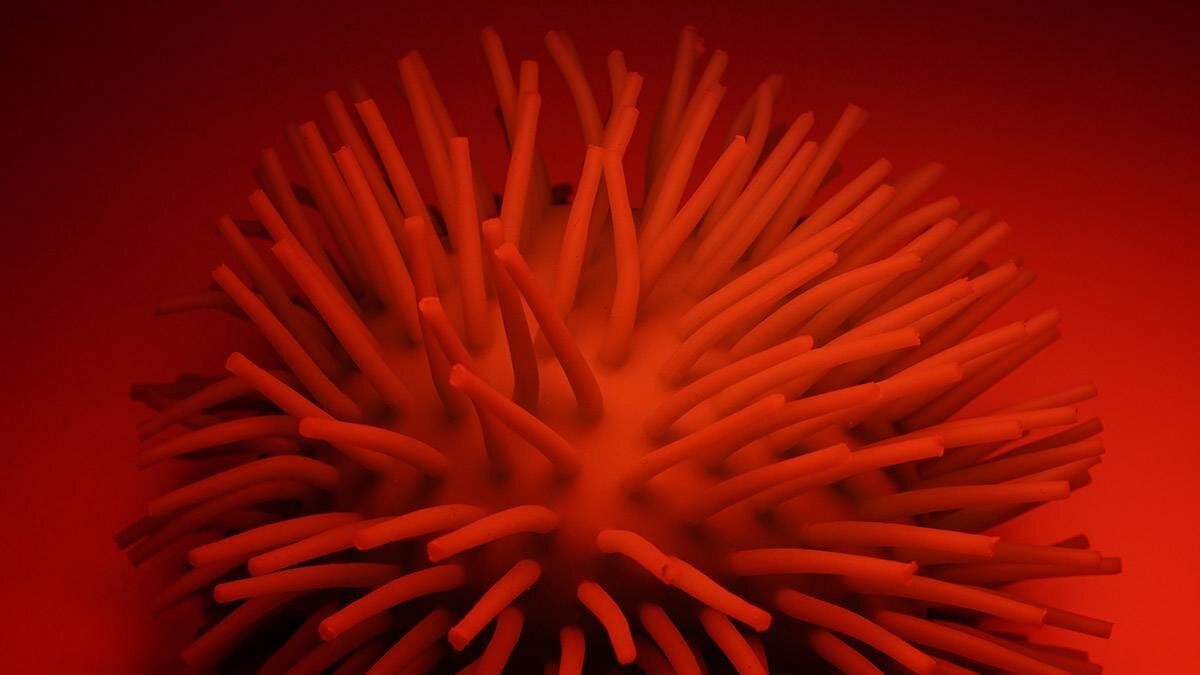    Фото: Анатолий Цымбалюк / Вечерняя Москва