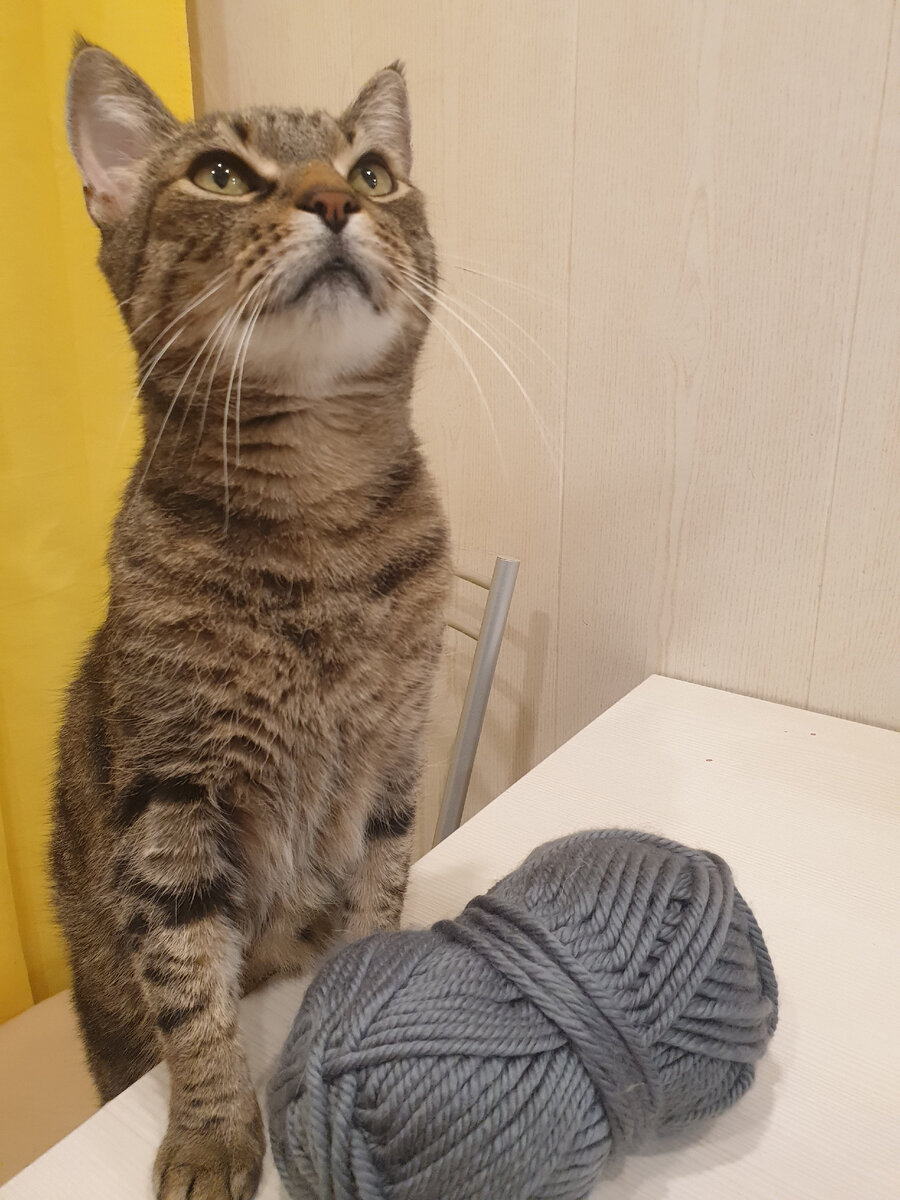 Виссарион Семенович и пряжа.