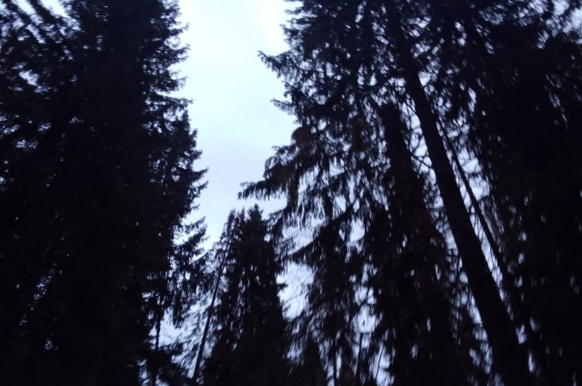    Женщина и 8-летний ребёнок заблудились в заброшенном карьере в Прикамье