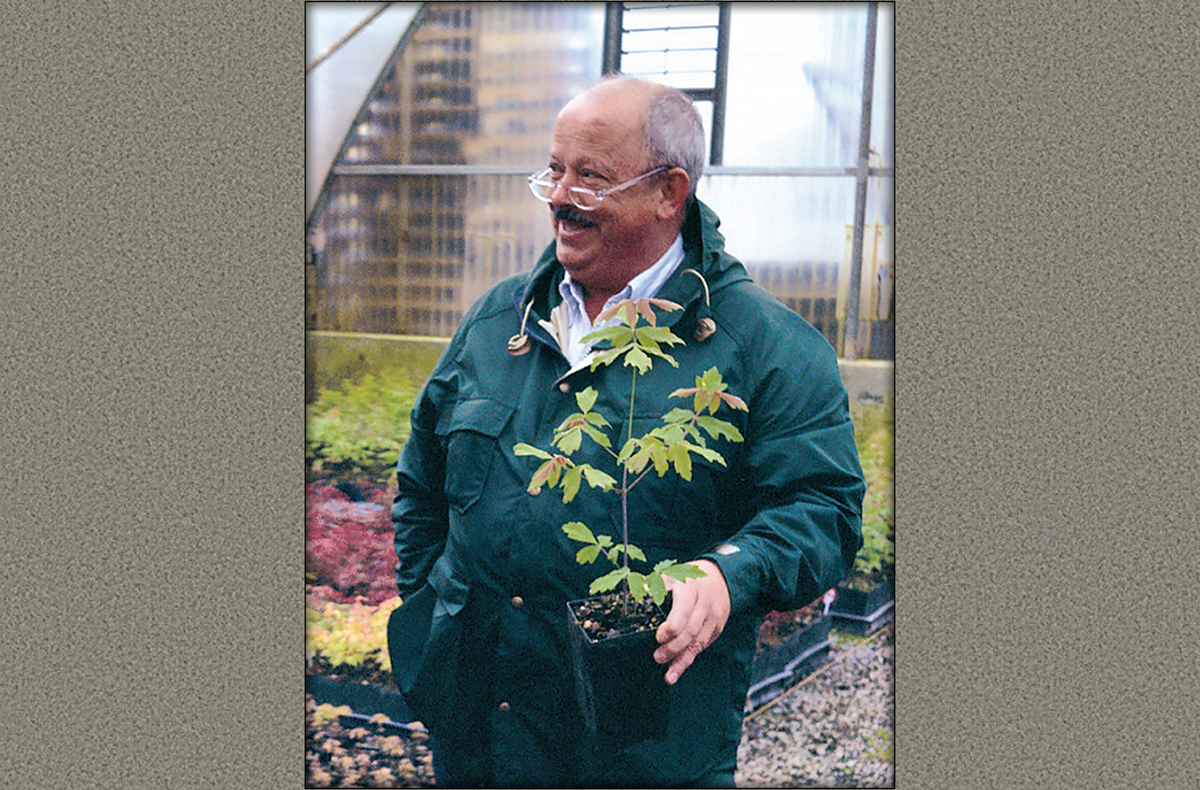 Источник: официальный сайт iselinursery.com   