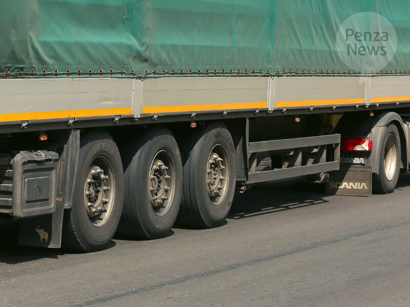   © Фото из архива ИА «PenzaNews»