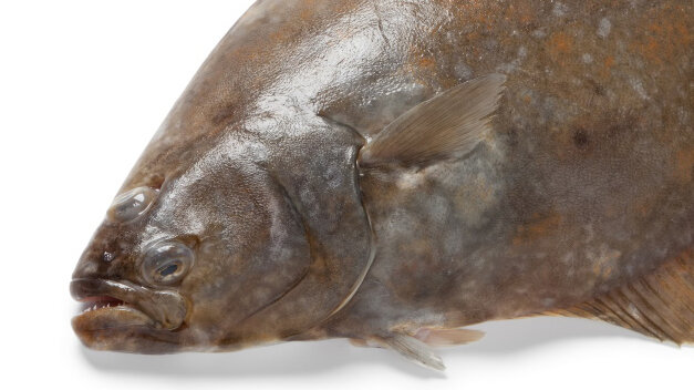 у взрослого уже глаза "набекрень"