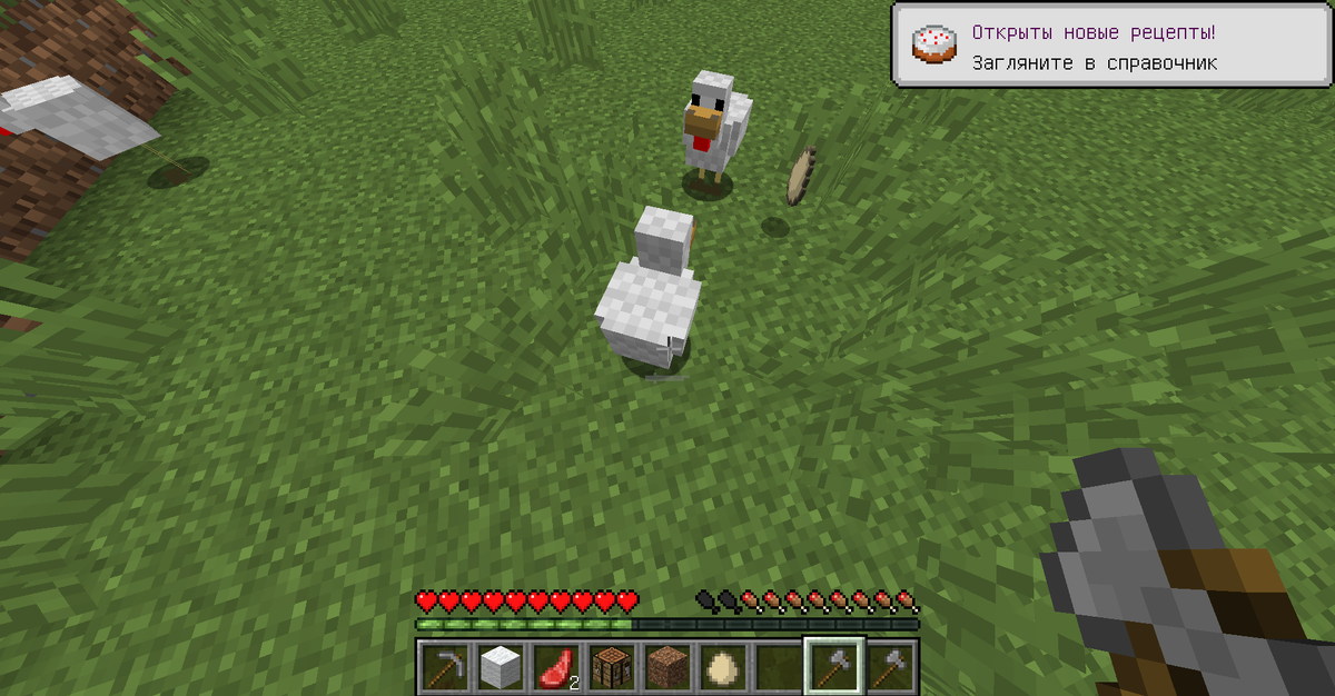 Мясо на куриных ножках