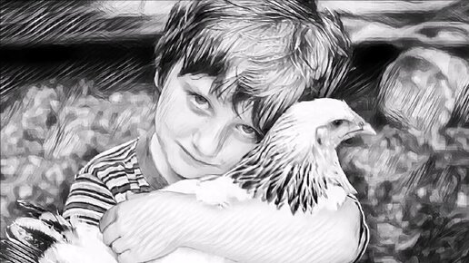 бураков рассказы дзен