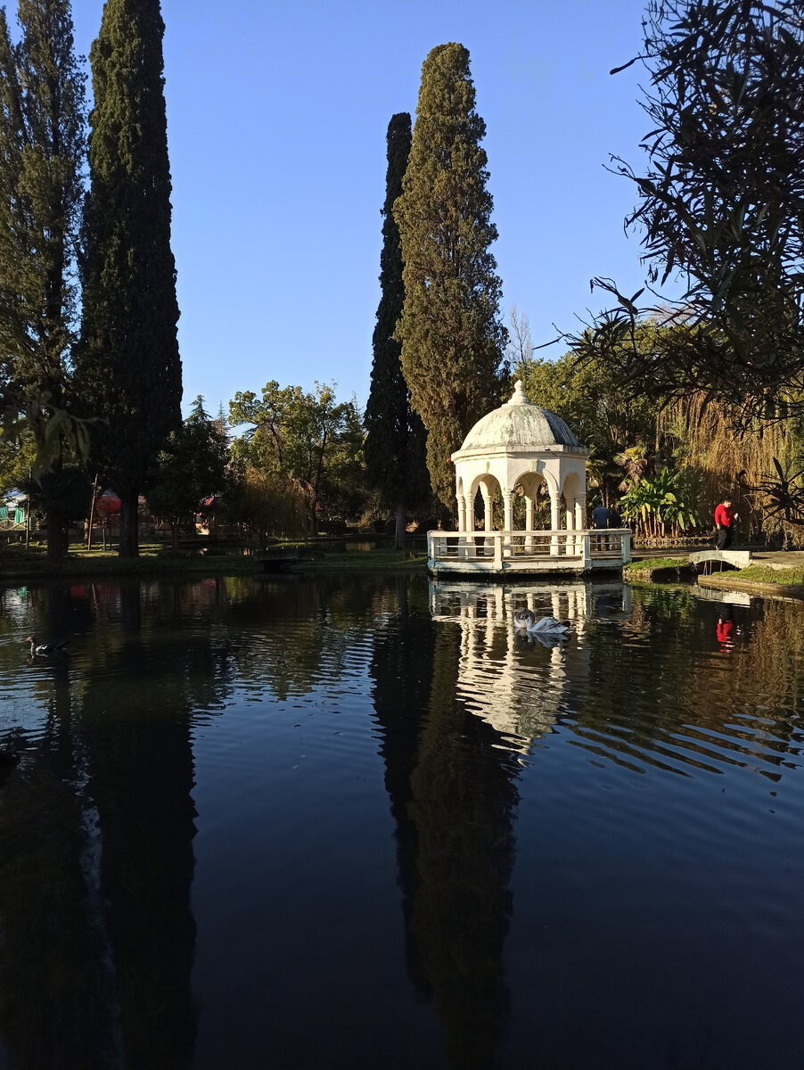 Беседка у пруда рано утром