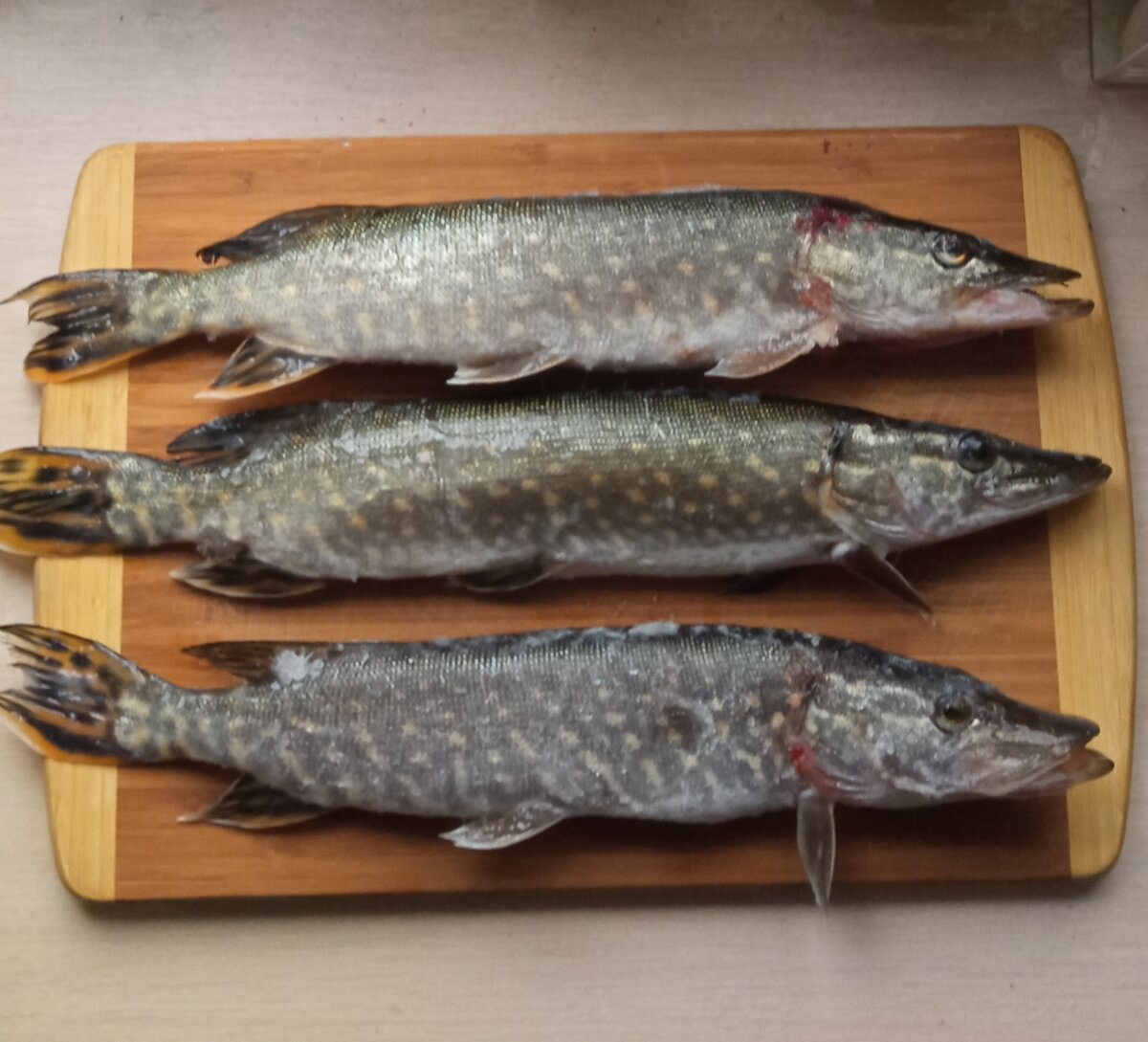 Зубастые красивы