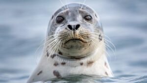   Фото: infozoid.ru Мария Скорина