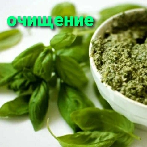 Кроме того, в базилике содержится множество витаминов и минералов, фолиевая кислота, дубильные вещества, природные растительные масла и органические кислоты. Это значительно расширяет полезные свойства растения.

