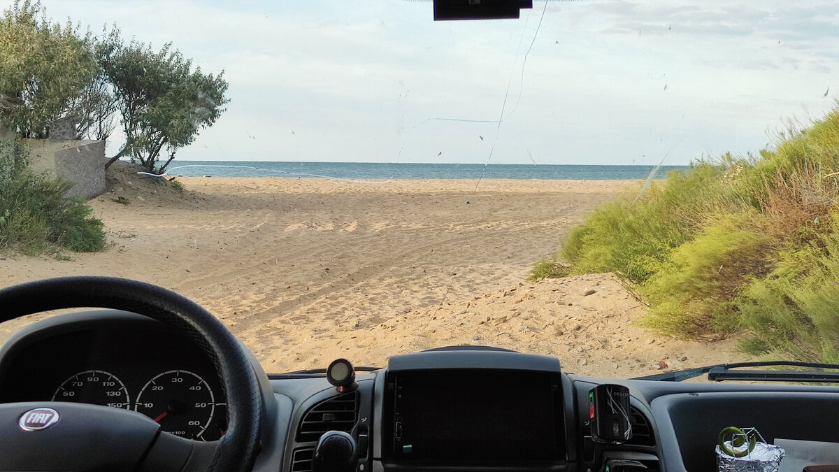 утренний вид из окна.