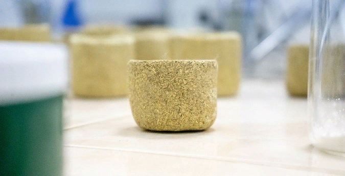 Фото: пресс-служба ЮУрГУ