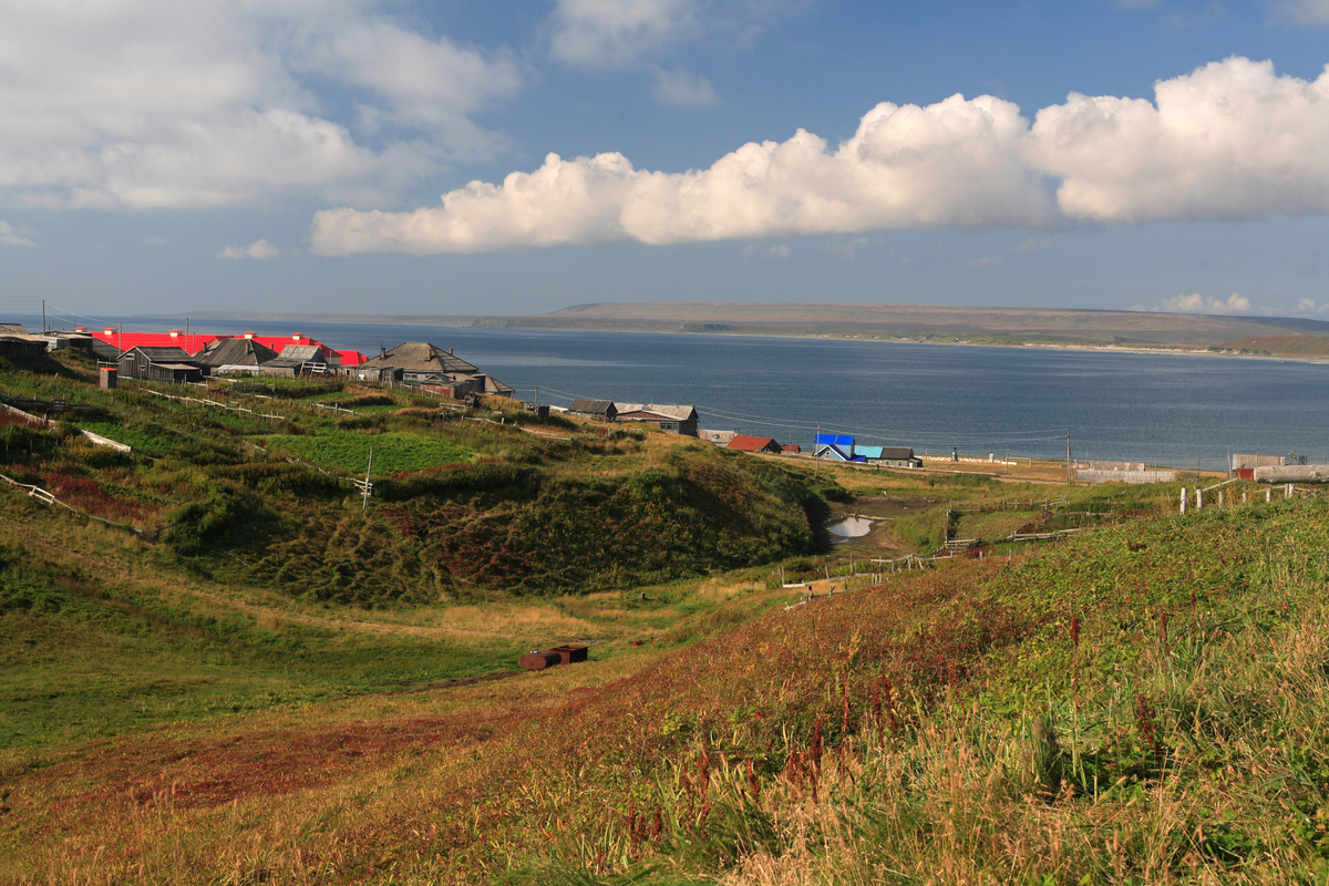 село никольское командорские острова