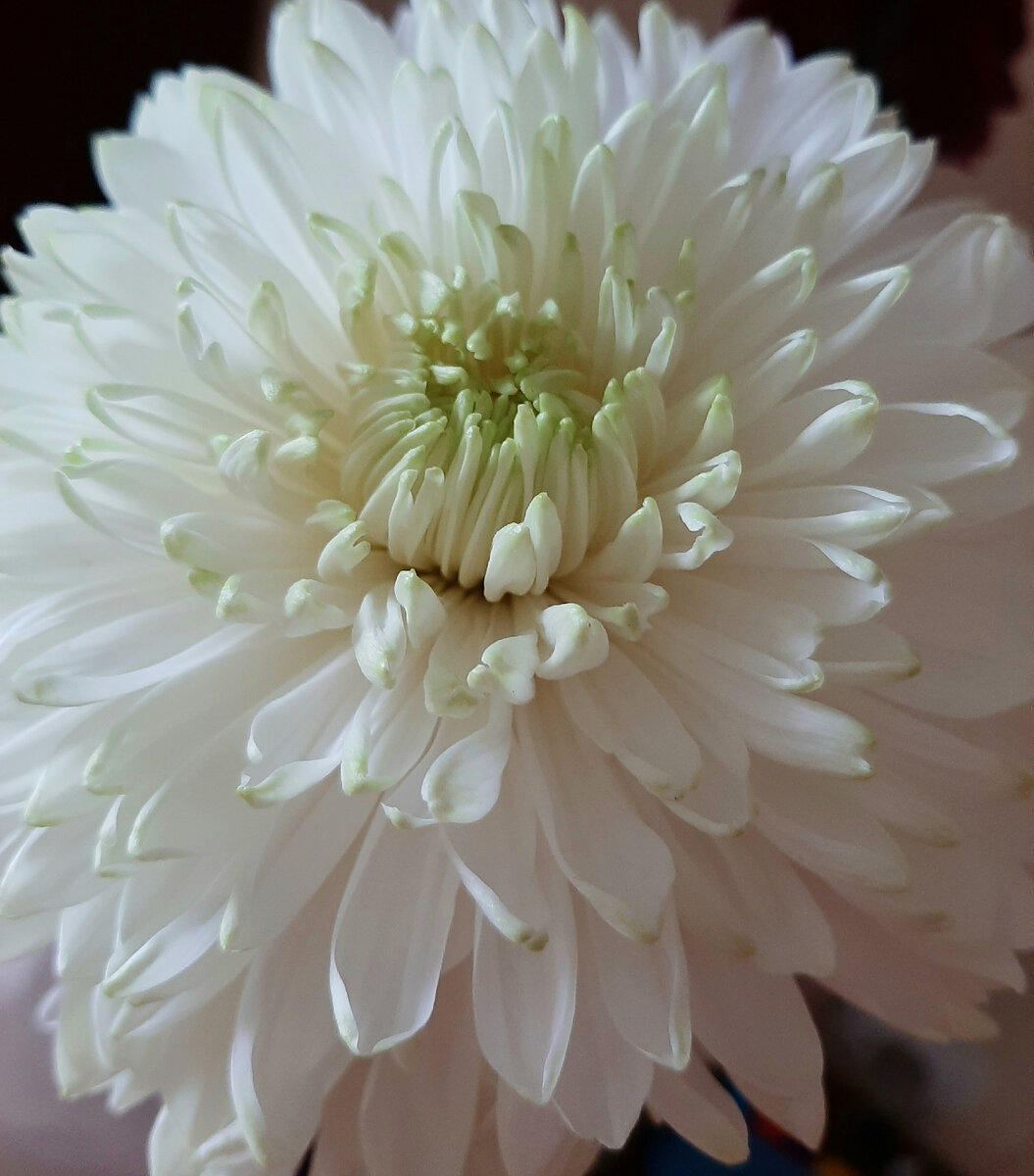 Просто хреза... просто для настроения...