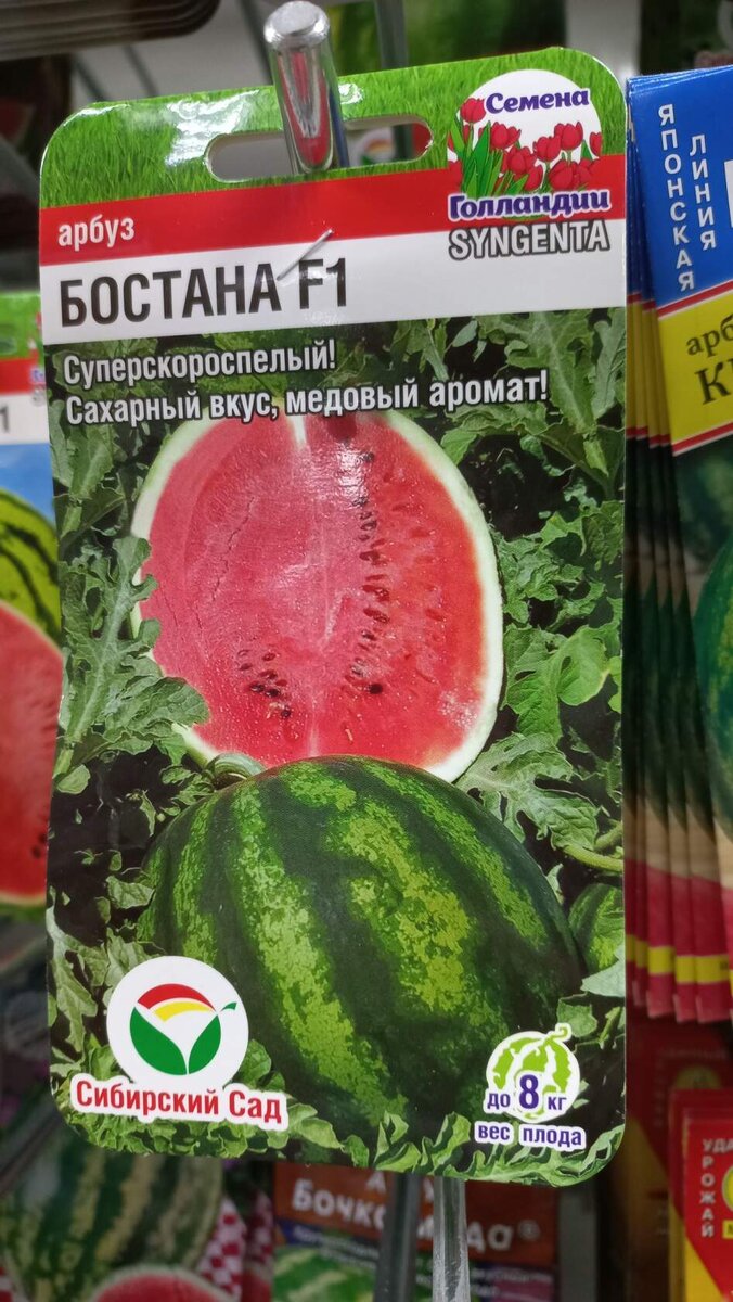 Посади себе арбуз. Сорта для любого климата | Большая Ира | Дзен