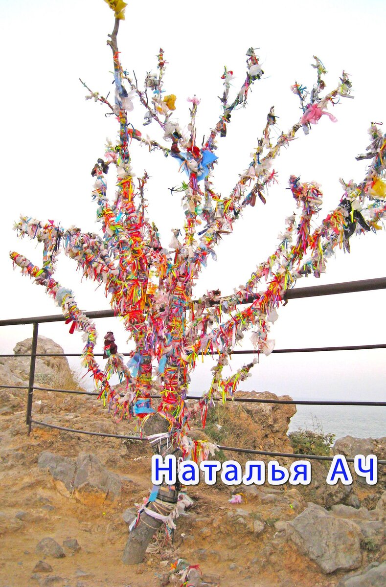 Фотография сделана мною