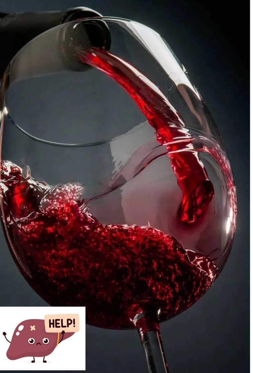 Печень Защита Синхровитал