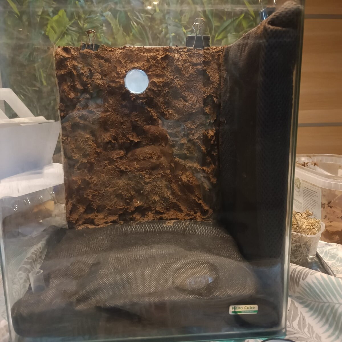 Сделаны дренаж и стена пещеры с окном