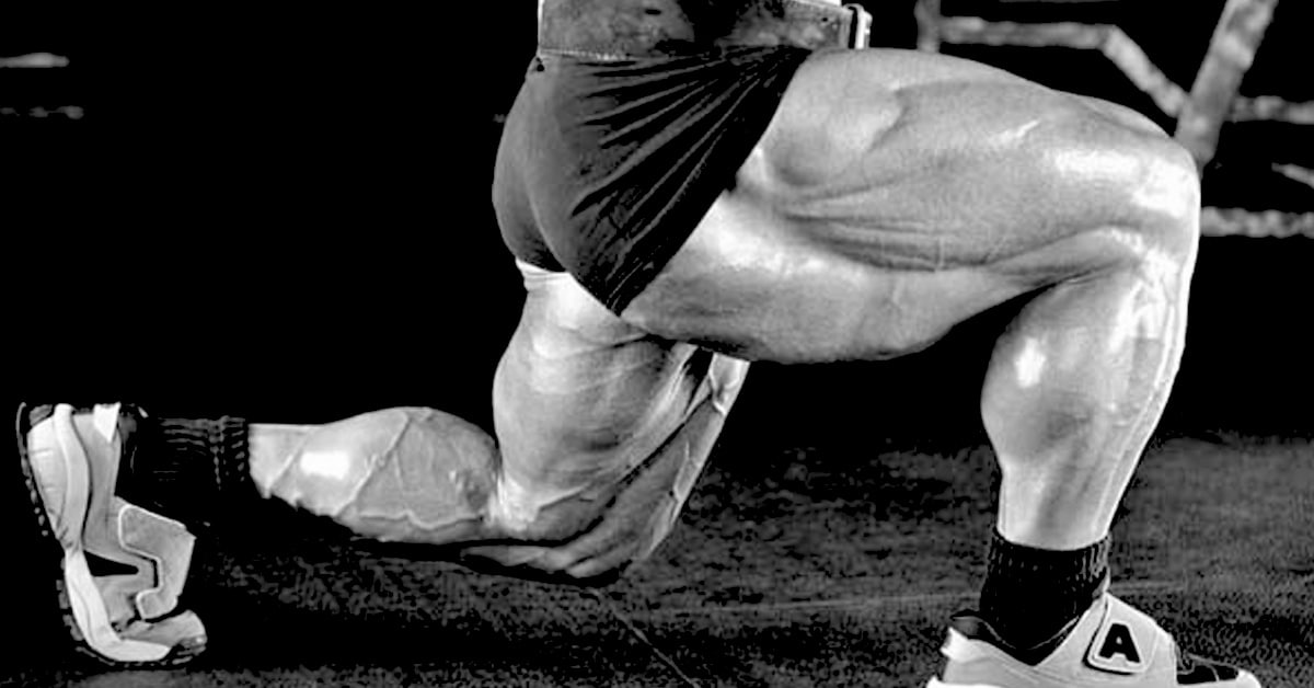 Leg exercises Bodybuilding