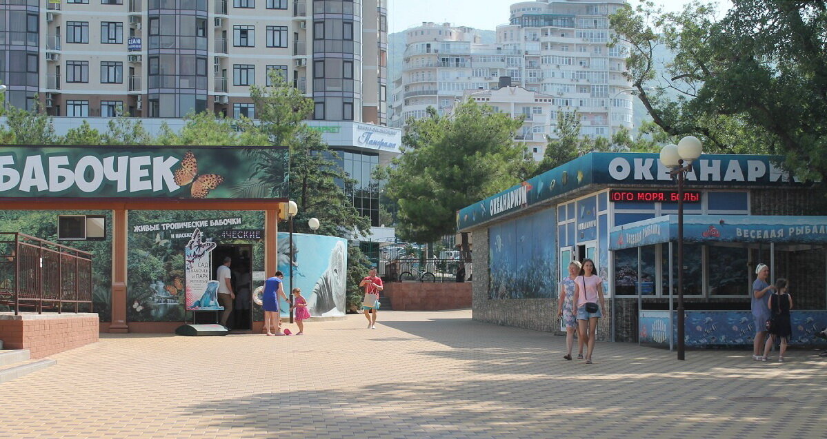 Доп. развлечения в Геленджикском дельфинарии