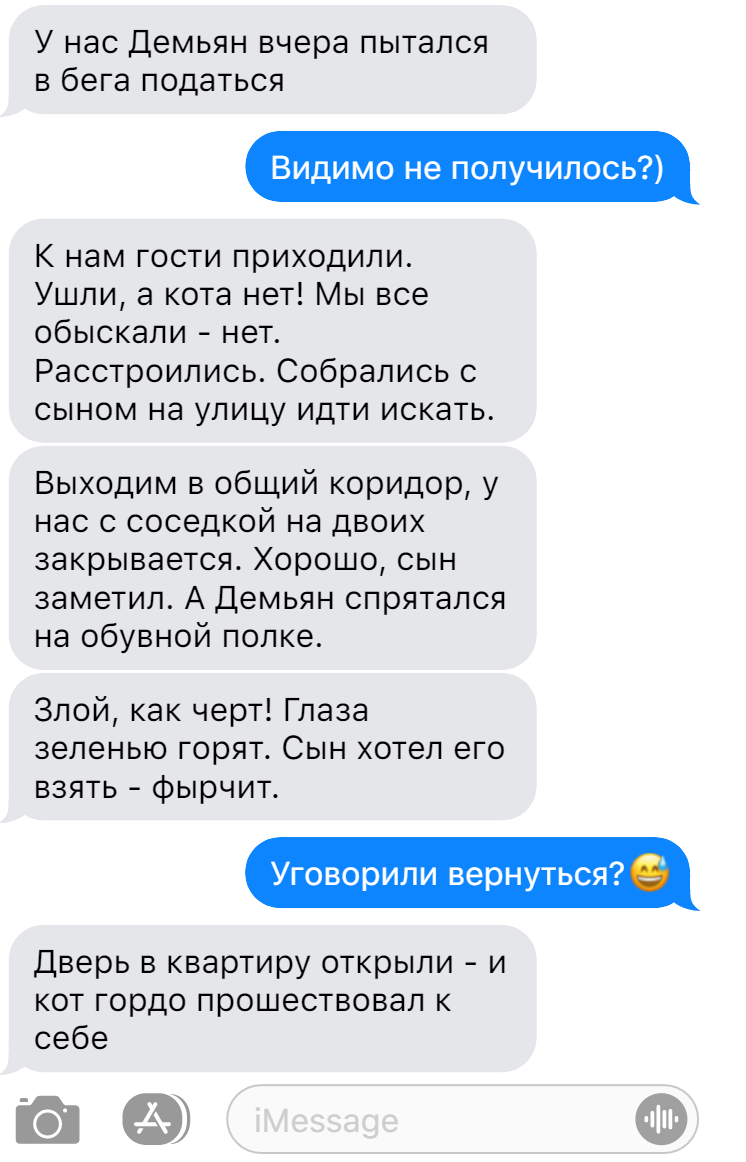 Неплохая прогулочка