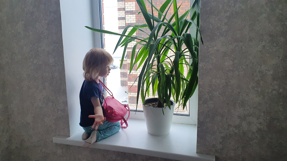 Папа, 8 марта на улице, а цветочков неть! 