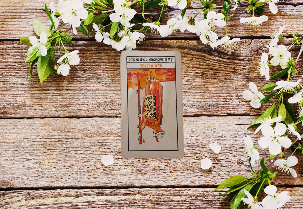 переходим к описанию