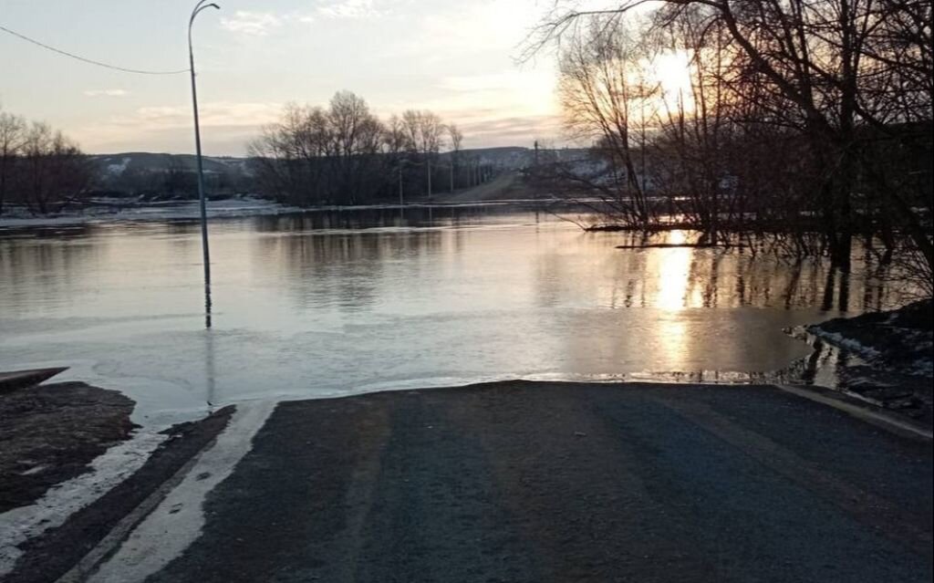    В двух населенных пунктах Бузулукского района талыми водами подтопило 20 придомовых территорий