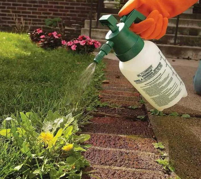 Фотография взята из источника diz-cafe.com 