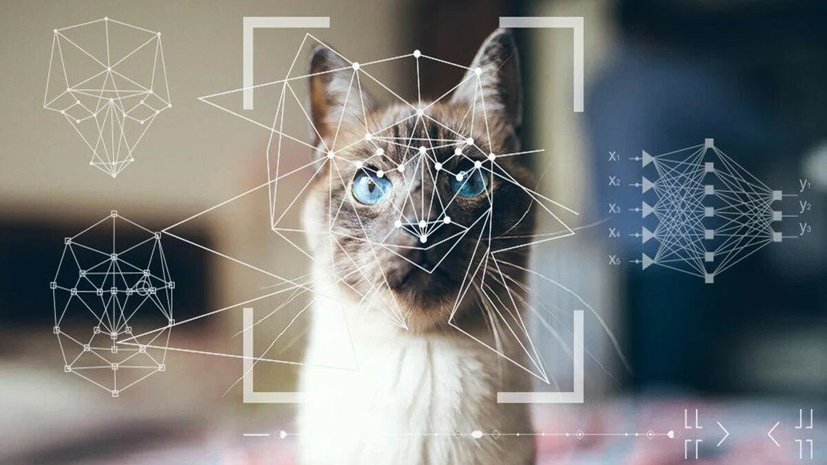    Нейросеть спасет от хищников