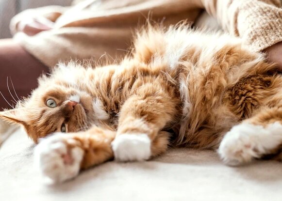 Источник фото ru.freepik