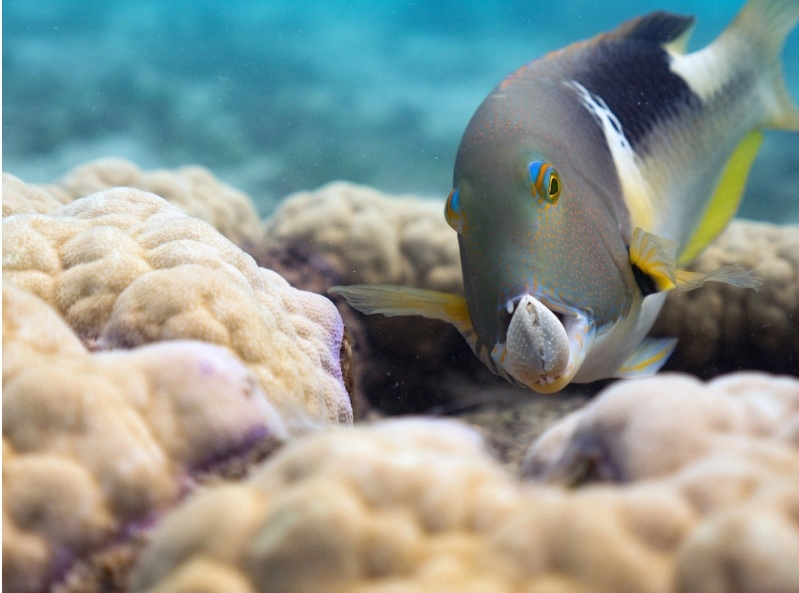 Колись, с кем вчера Светка переписывалась?! Я знаю, что она всё тебе рассказала! 