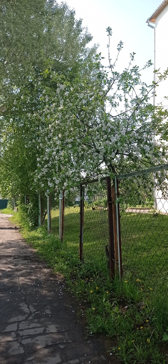 Фото автора. 