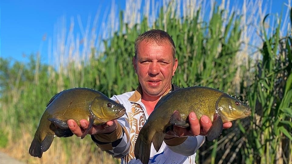 "Большой улов линя на бойлы: Секреты успешной рыбалки, которые вы должны знать!"