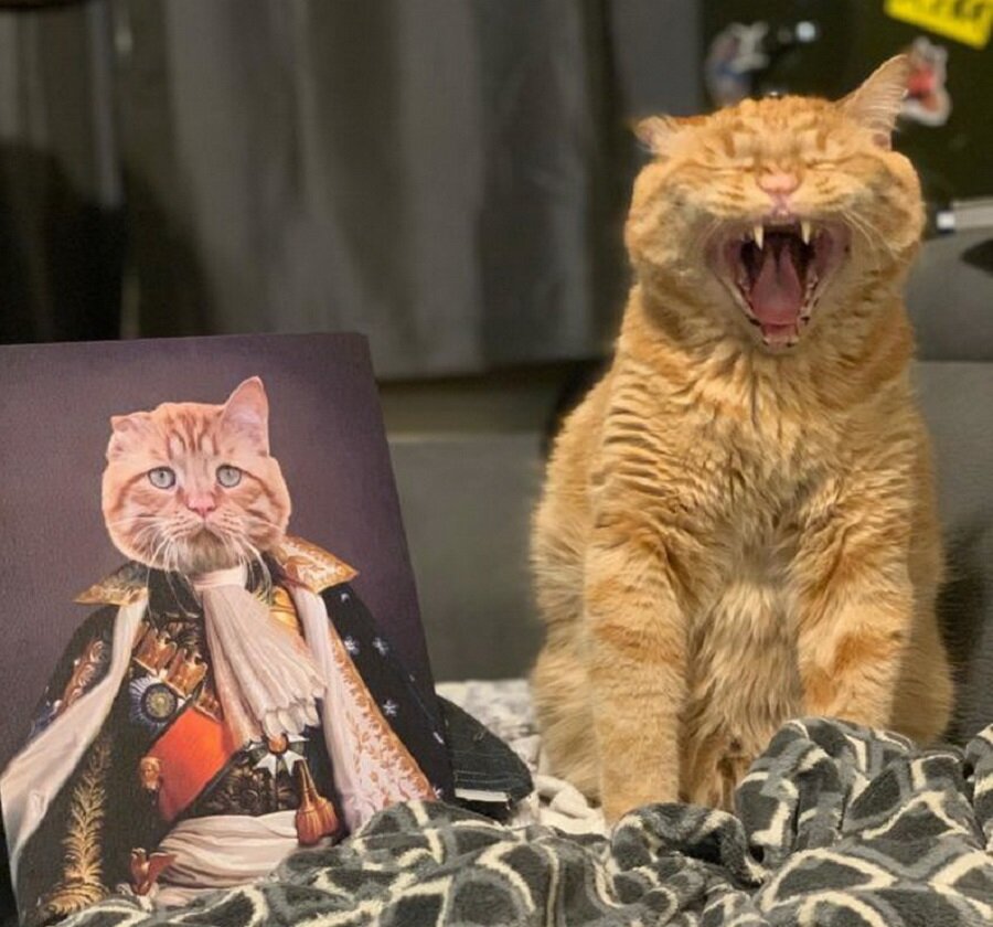 У кота даже есть личный портрет, который Сэнди и Адам заказали на годовщину БенБена
