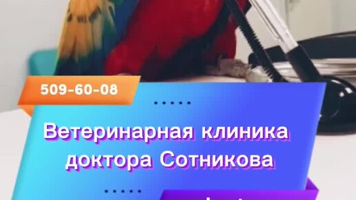 Ветклиника Сотникова | Ветеринарные клиники доктора Сотникова. Репищева ...