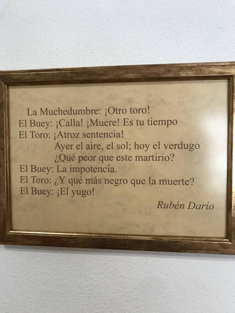 Автоматический перевод стихотворения о рассуждении быка - смысл такой, что вроде как для быка почетно умереть на арене (Музей корриды в Аликанте)