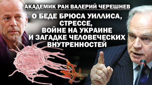 Академик Черешнев о болезнях войны на Украине и деградации мозга Брюса Уиллиса / #ЗАУГЛОМ #УГЛАНОВ