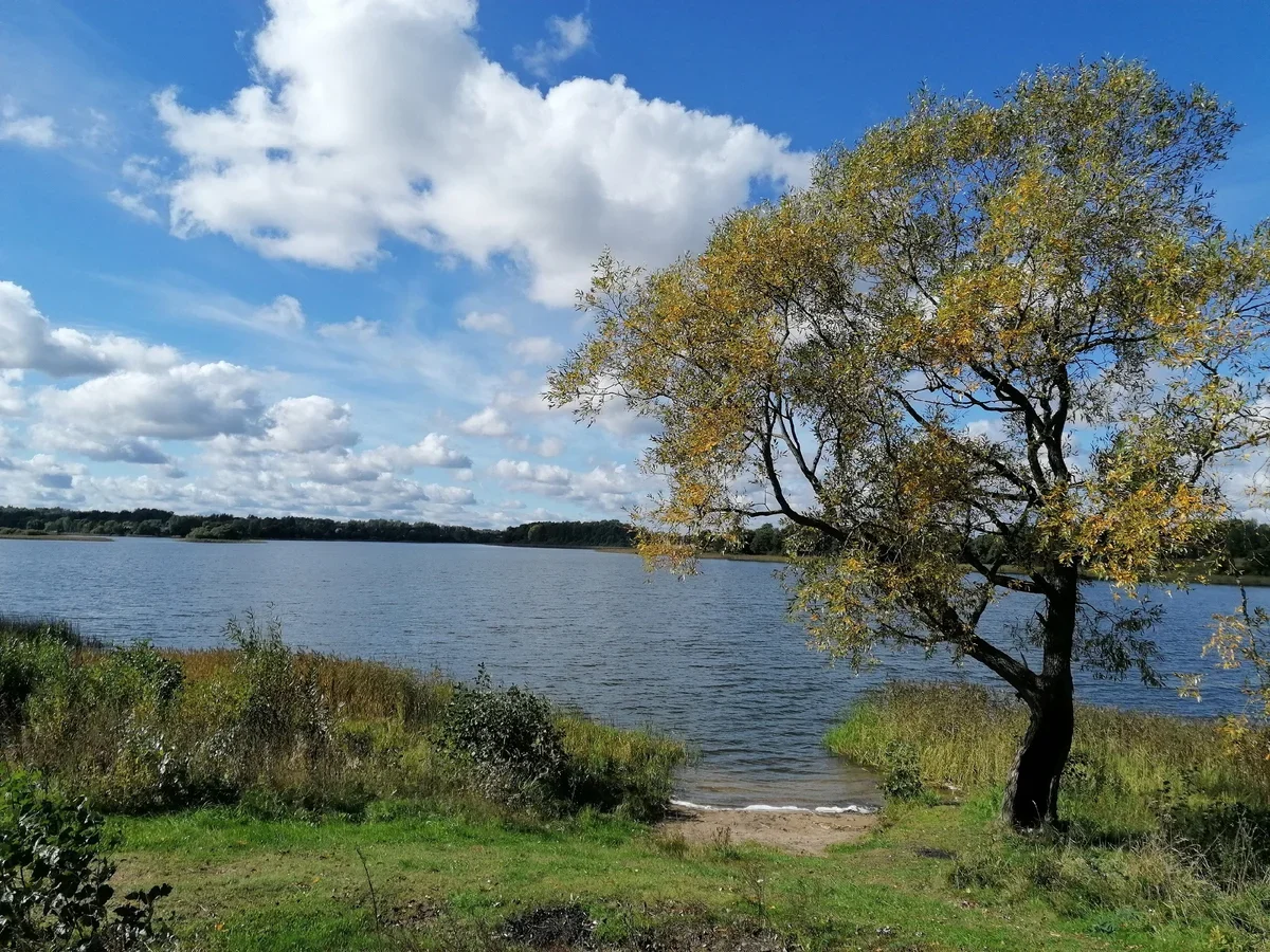 Фото из архивов автора