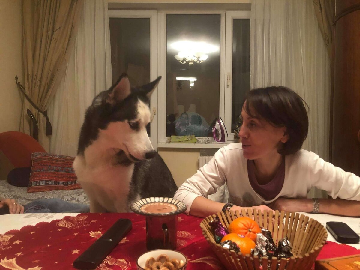Они любят поговорить без слов...