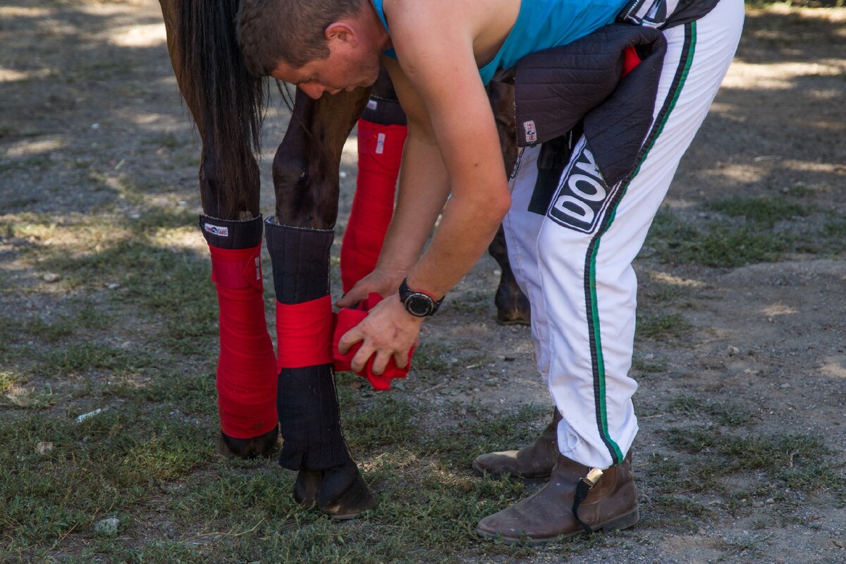 Существует мнение, что бинты - лишняя трата денег, а их использование только навредит здоровью. Но на самом деле всё зависит от правильного и своевременного использования. 
