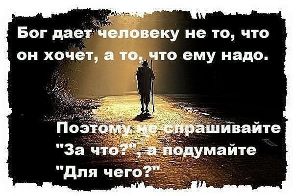 Картинка из открытых источников