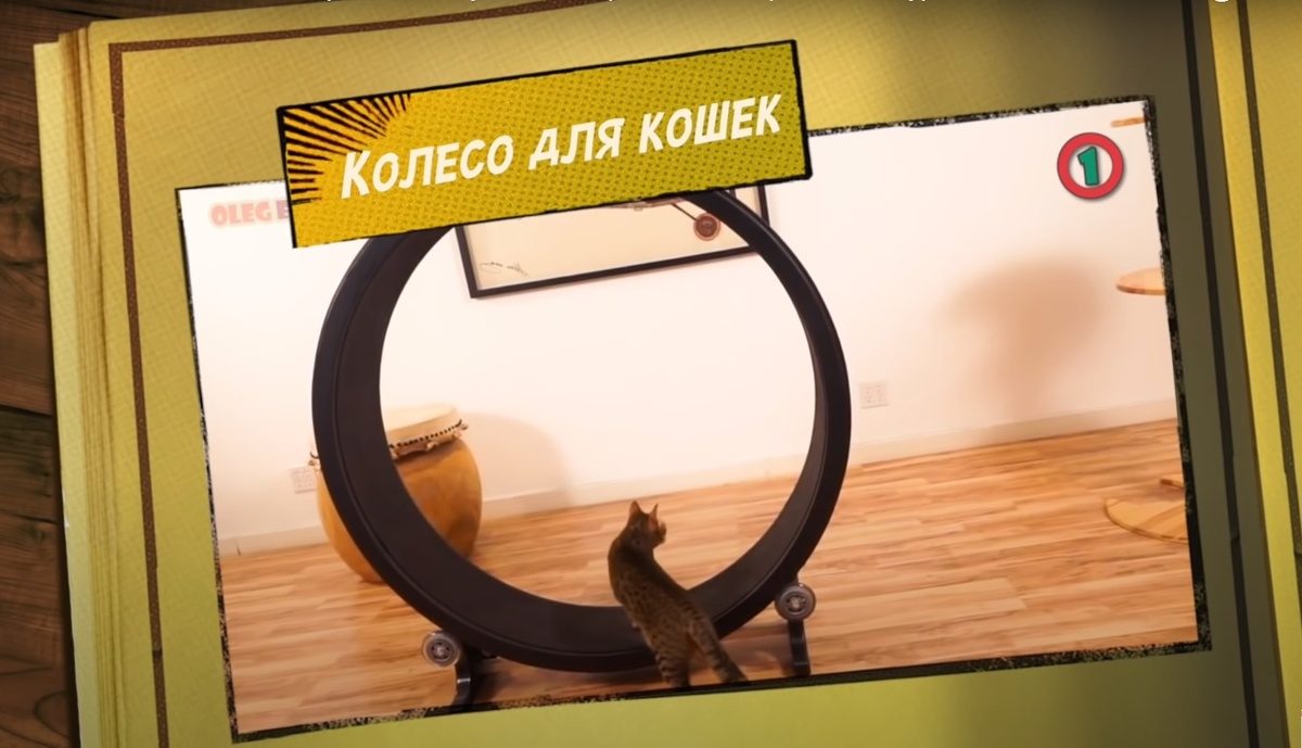 Принцып действия тот же что и для хомяка