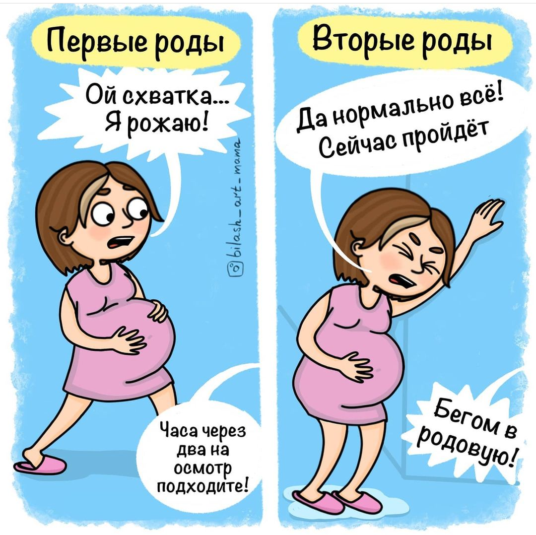 Картинка из интернета 