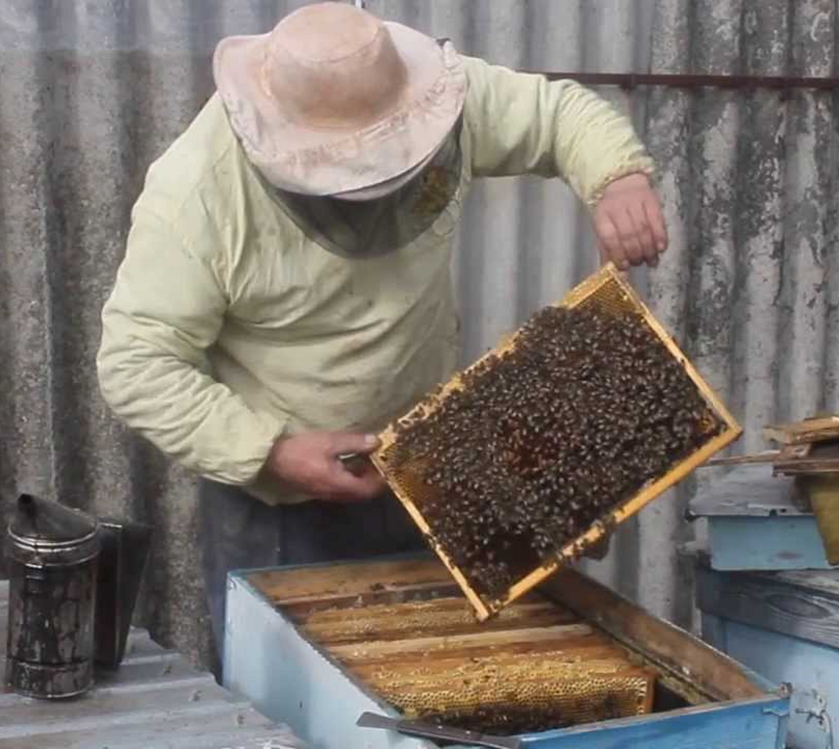 ЯНДЕКС КАРТИНКИ