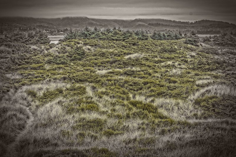 Город Бэй Оушен.